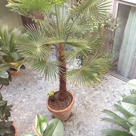 Loft فندق مبيت وإفطار 2*